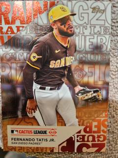 Fernando Tatis Jr.