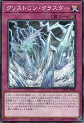 Crystron Cluster #SUDA-JP080