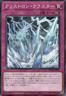 Crystron Cluster SUDA-JP080