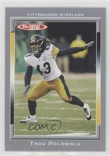 Troy Polamalu