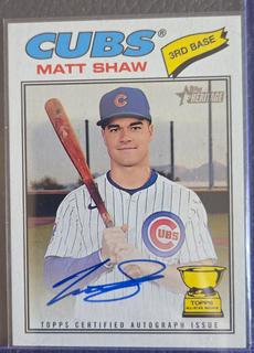 Matt Shaw