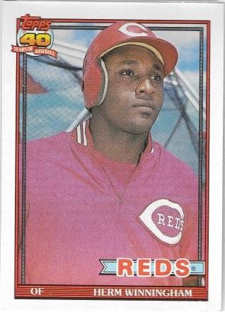 Herm Winningham #204 Cover Art