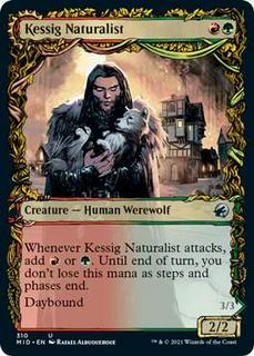 Kessig Naturalist & Lord of the Ulvenwald