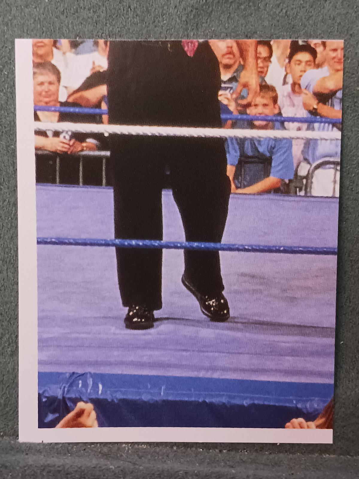 Money Inc #30 Wrestling Cards 1992 Merlin WWF Stickers