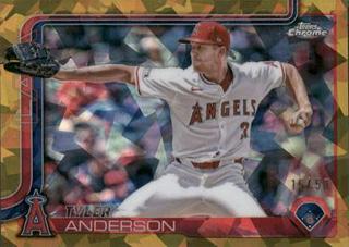 Tyler Anderson