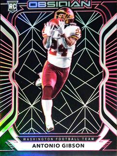 Antonio Gibson