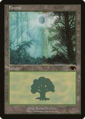 Forest #1 Magic Guru Lands Prices