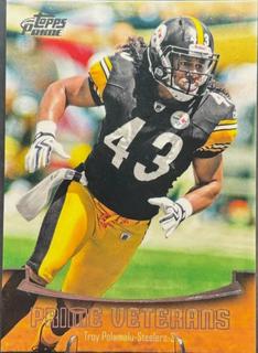 Troy Polamalu