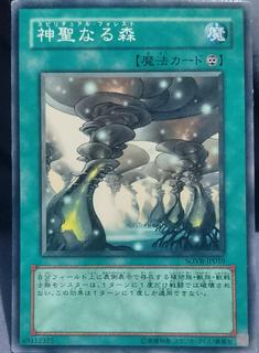 Spiritual Forest SOVR-JP059