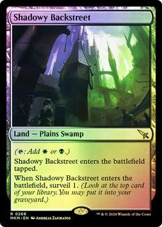 Shadowy Backstreet