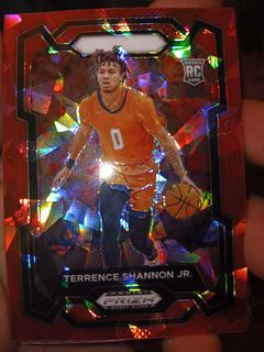 Terrence Shannon Jr.
