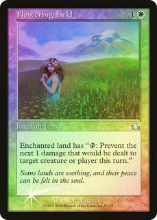 Flowering Field