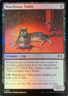 Warehouse Tabby