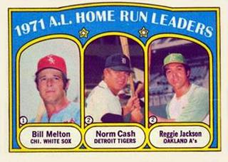 1971 A.L. Home Run Leaders