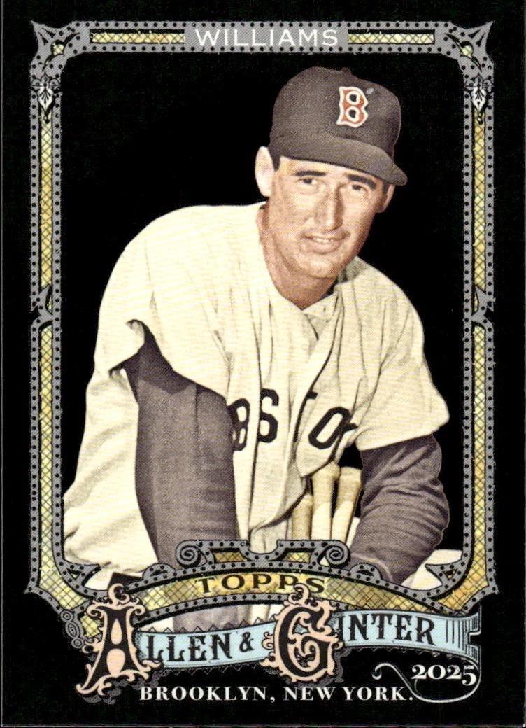 Ted Williams #48
