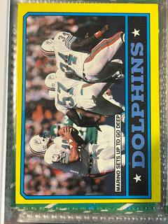 Dolphins Team