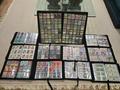 Collection Photo