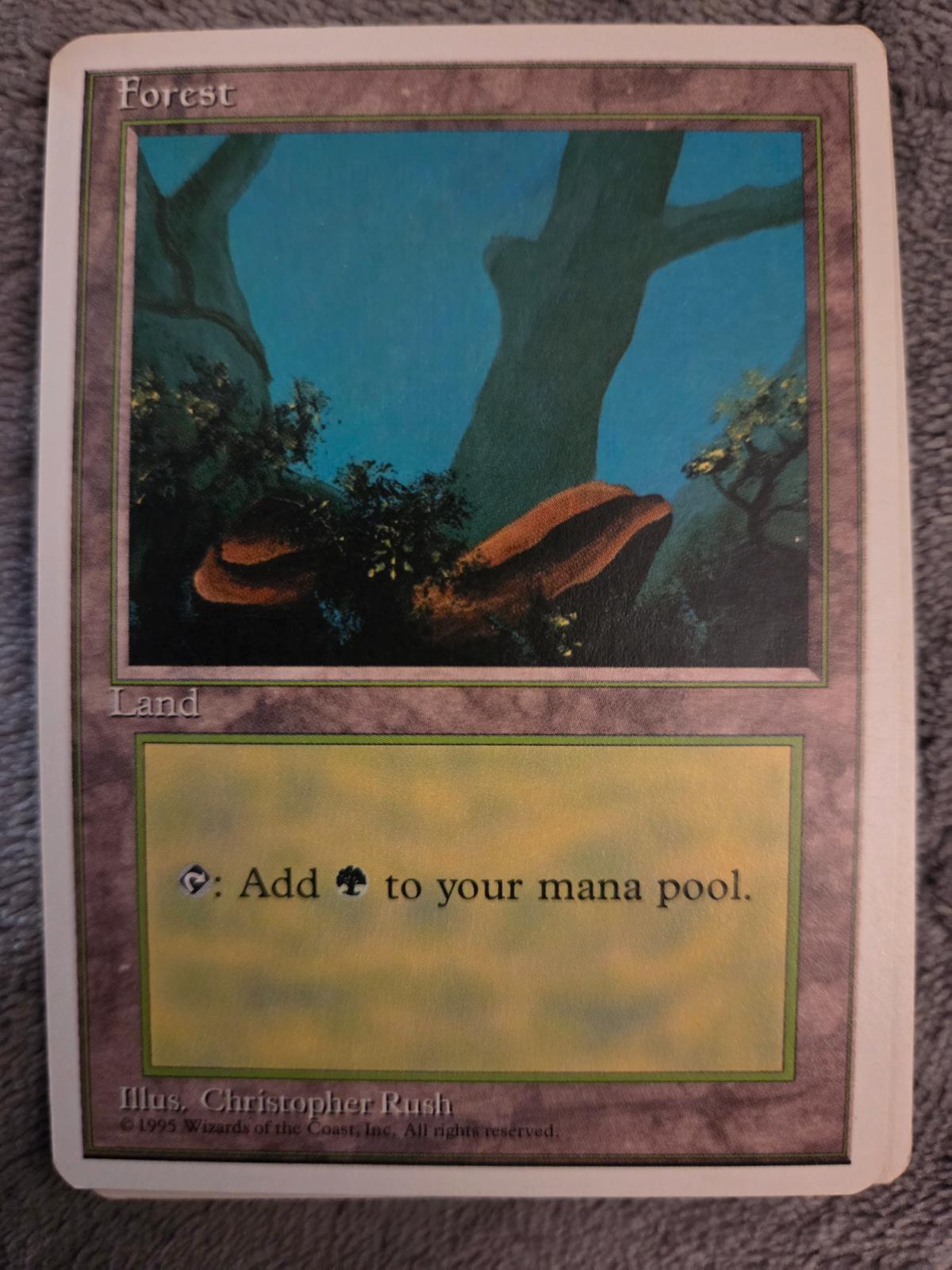 Forest #376 Magic 4th Edition