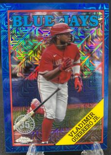 Vladimir Guerrero Jr.