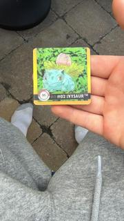 Bulbasaur & Ivysaur