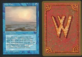 Tidal Flats
