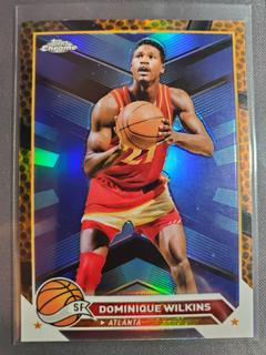 Dominique Wilkins
