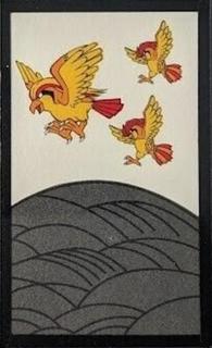 Pidgeot, Pidgeotto (August)