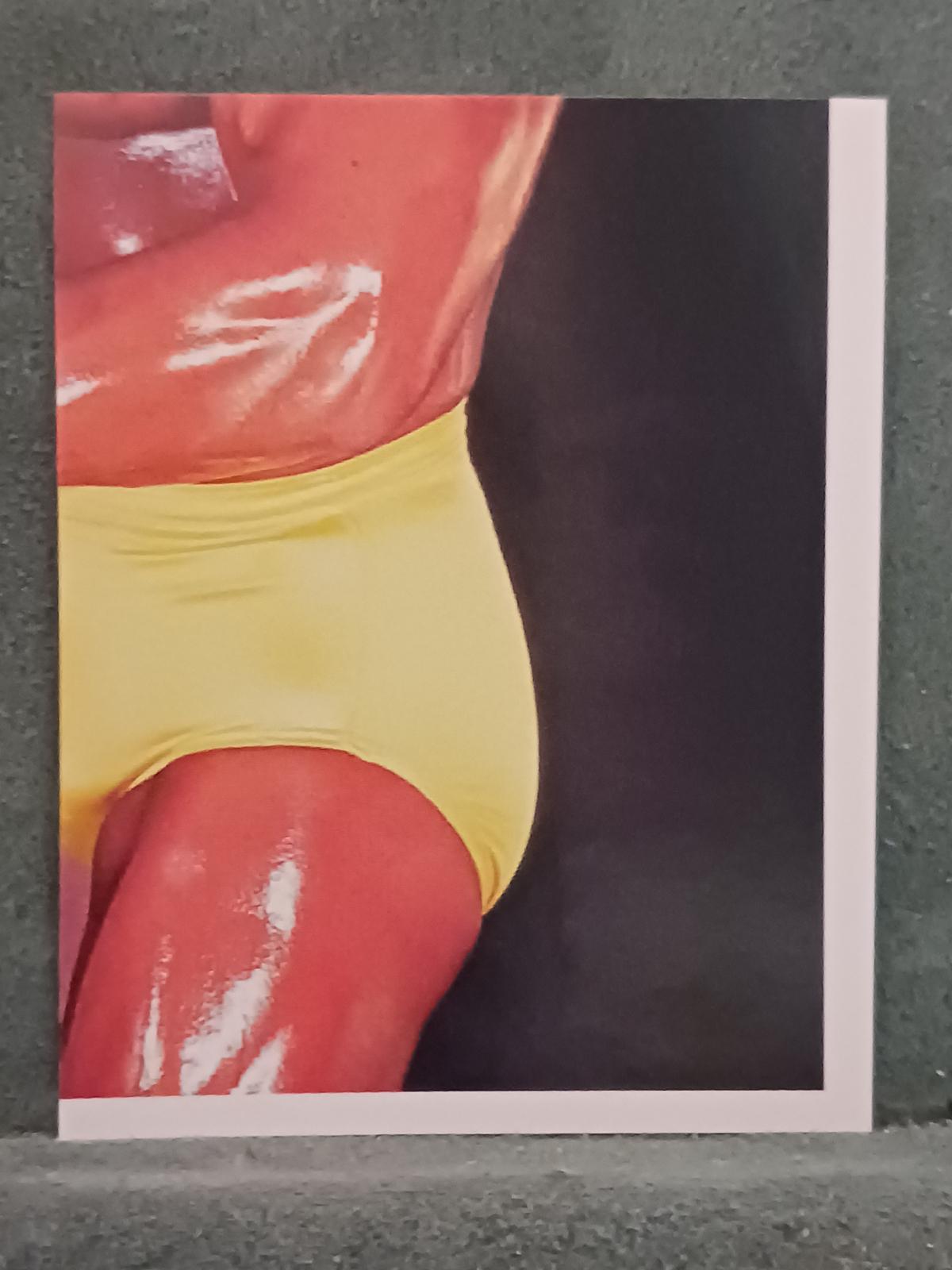 Hulk Hogan #9 Wrestling Cards 1992 Merlin WWF Stickers