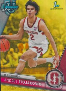 Andrej Stojakovic