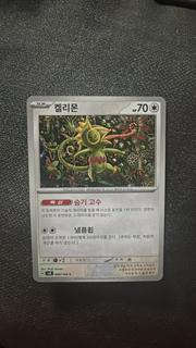 Kecleon