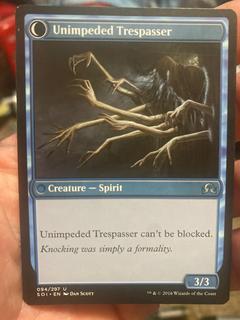 Unimpeded Trespasser