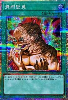 Metamorphosis LOCH-JP067