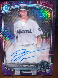 PJ Morlando