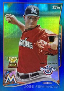 Jose Fernandez