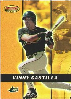 Vinny Castilla