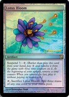 Lotus Bloom