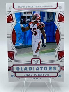 Chad Johnson