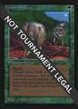 Timber Wolves | Magic International Edition