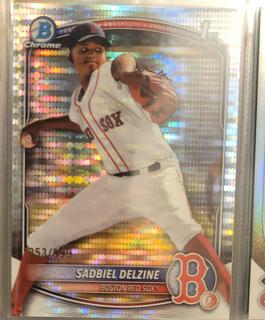 Sadbiel Delzine
