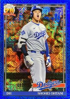 Shohei Ohtani