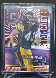 Troy Polamalu
