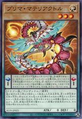 Prima Materiactor #ALIN-JP021