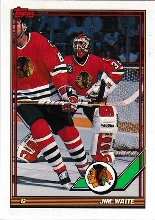 Jim Waite #127 Hockey Cards 1991 Topps