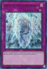 【Z14194】GRAVE OF THE SACRIFICE(VISUAL GR Z14194】GRAVE OF THE SACRIFICE(VISUAL GR Grave Of Sacrifice: Land