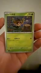 Phantump #6 from Pokemon Korean Mask of Change set
