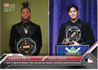 Ronald Acuna Jr / Shohei Ohtani