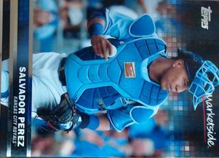 Salvador Perez