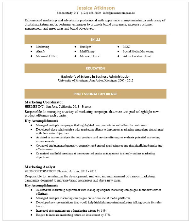 Assistant buyer resume examples