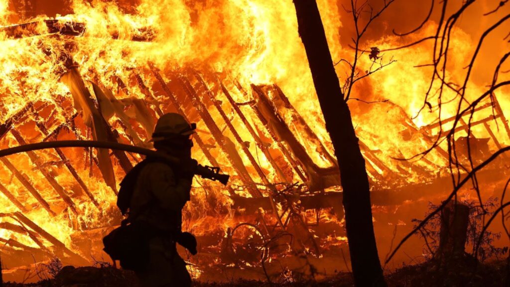 A firefighter using a hose to combat intense flames engulfing a wooded area at night