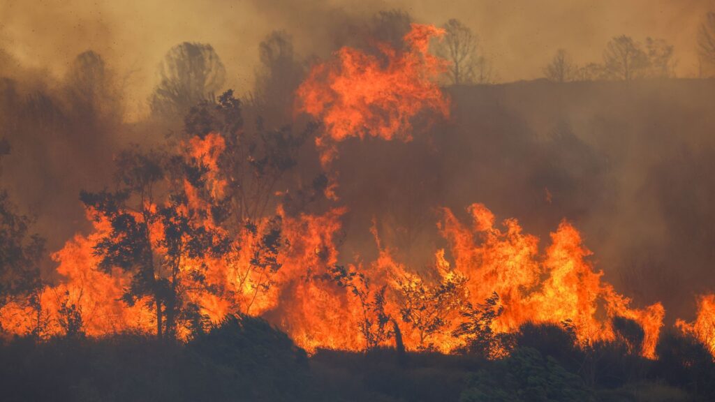 A wildfire with large flames and smoke rising.